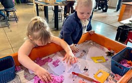 News Community Free Summer Activities Numerica