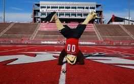 Fall sports article numerica 350x220