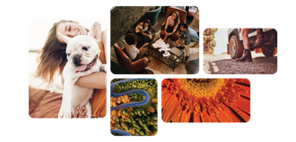 Hero Contact Numerica