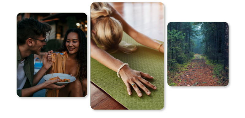 Header Cannabis Numerica