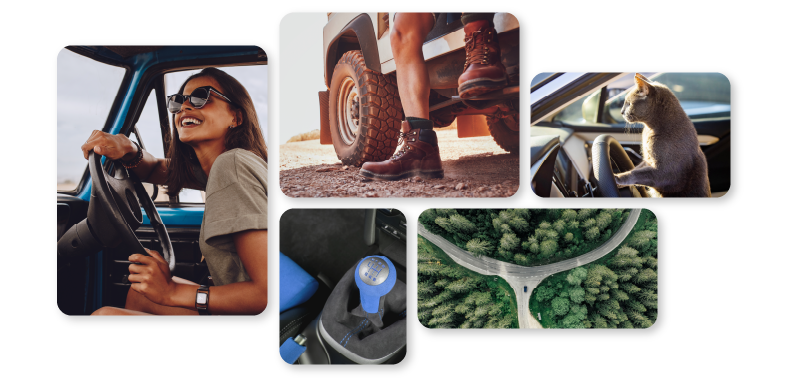 Header Dealer Services Numerica
