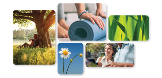 Header financial wellness Numerica