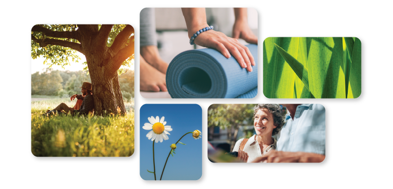 Header financial wellness Numerica